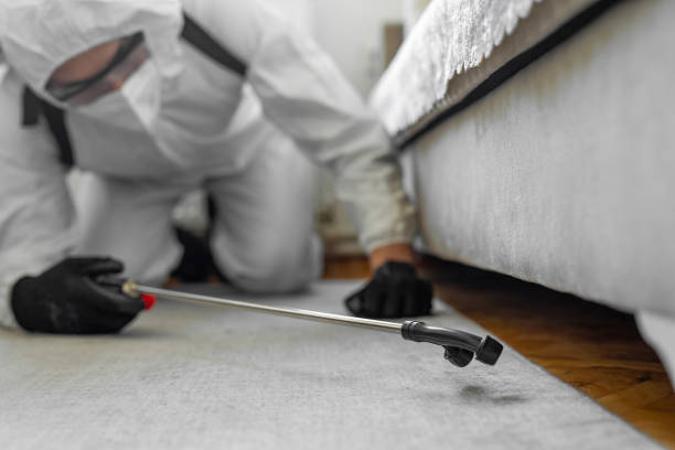 Professional Termite Control technician working in Roslyn, NY