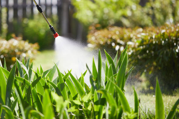 24/7 Emergency Termite Control experts in Roslyn, NY