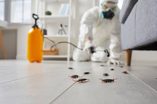 Trusted Fumigation Services service in Roslyn, NY - Nex Pest Control