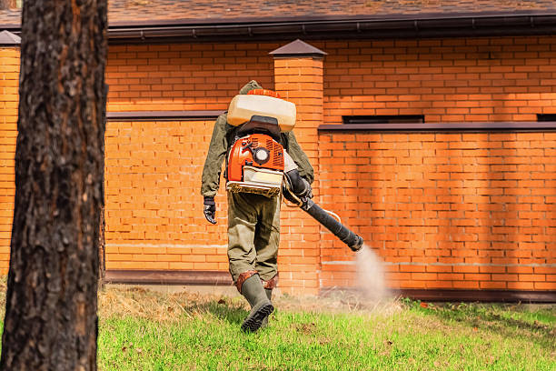 Trusted Cockroach Control service in Roslyn, NY - Nex Pest Control